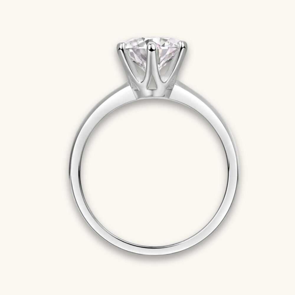 Six-Prong’s Gentle Promise - Image 5