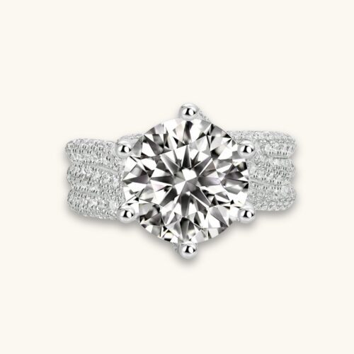 Halo in Silvered Night