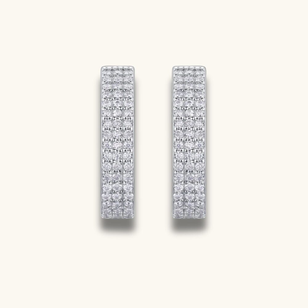 Slow Time, Silvered Whispers - Image 5